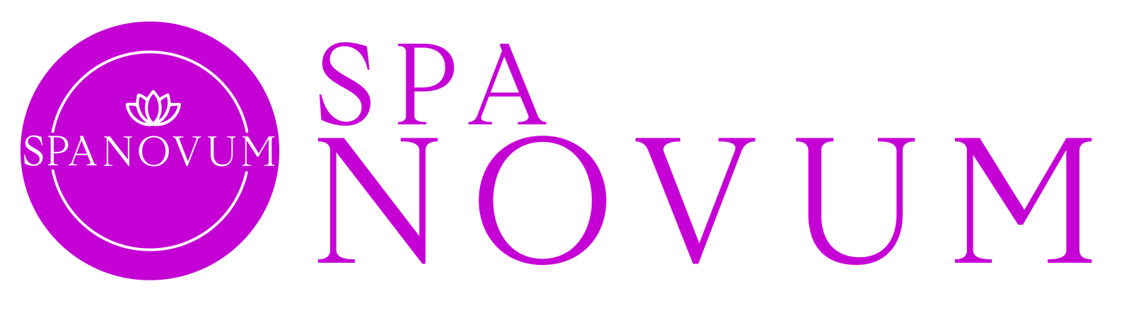 Logo Spa Novum header